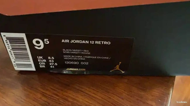Cheap Flu (2016) 002 Jordan 12 130690 Game Retro 0527